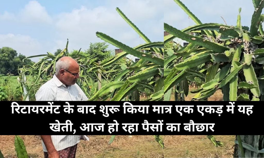 रिटायरमेंट के बाद शुरू किया मात्र एक एकड़ में यह खेती, आज हो रहा पैसों का बौछार